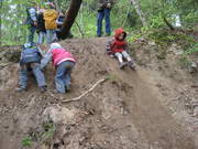 Waldtag in der Kinderkiste