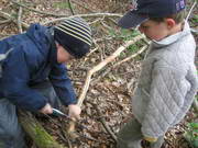 Waldtag in der Kinderkiste